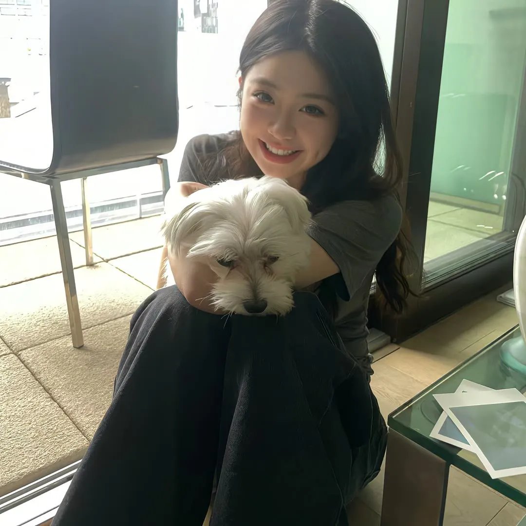 吉屋 在线观看